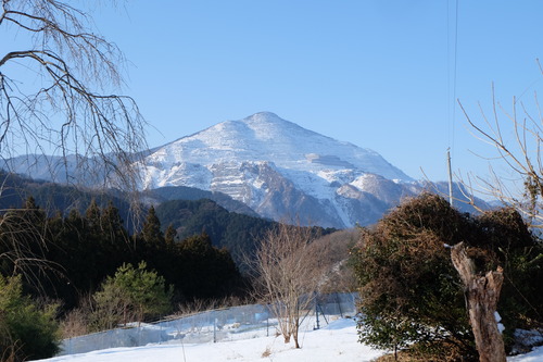DSCF6201