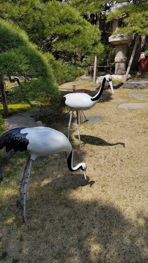 HORIZON_0001_BURST20250412122234666_COVER