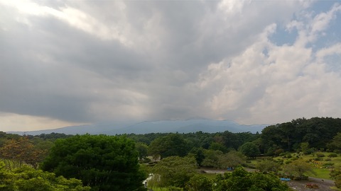 DSC_1417