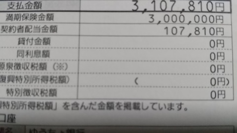 DSC_3160~2