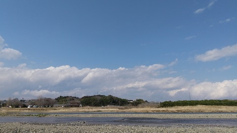 DSC_3891