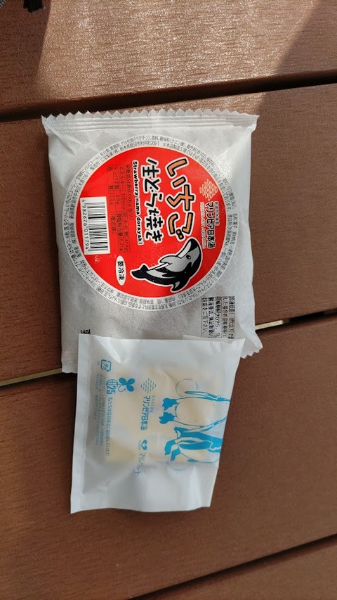 CENTER_0001_BURST20250412112922083_COVER