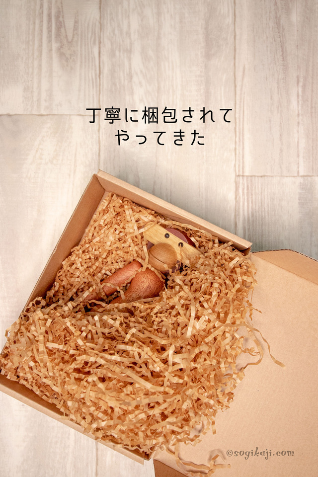 カイ・ボイスン-モンキー9