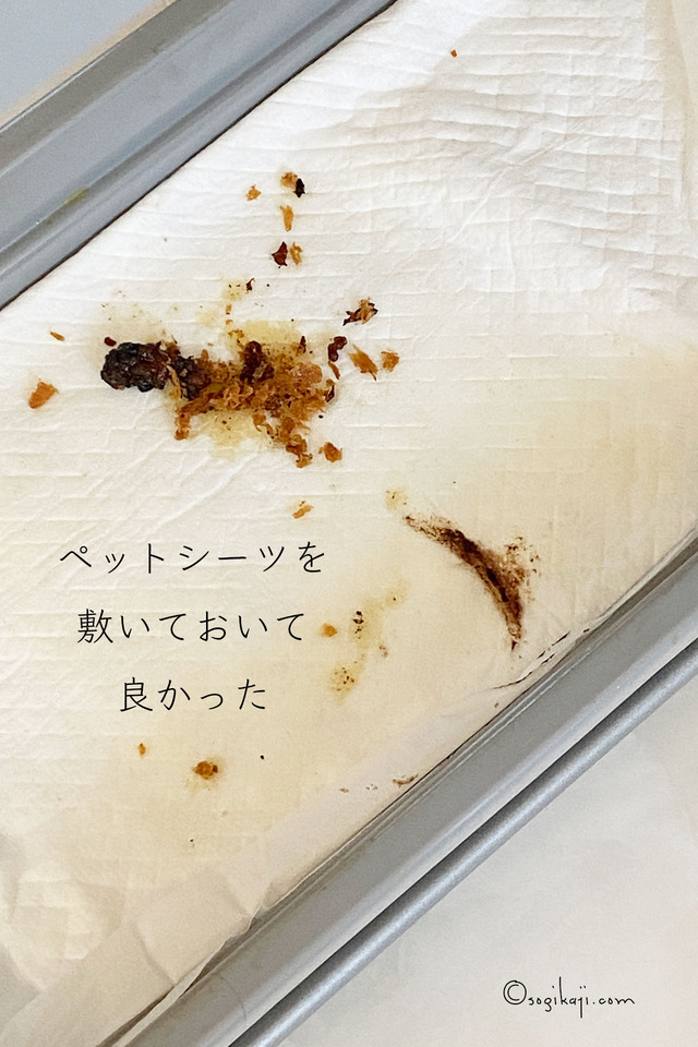 キッチン掃除3