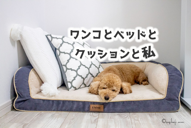 クッション8