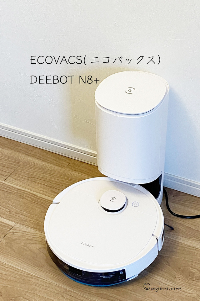 エコバックス5
