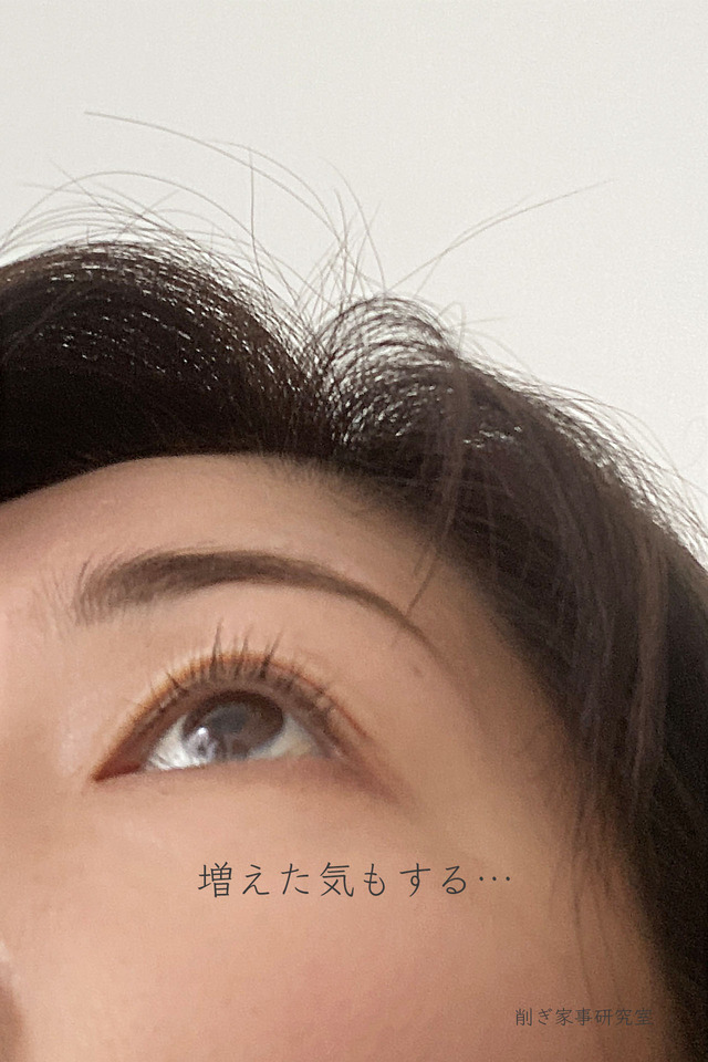まつ毛美容液3