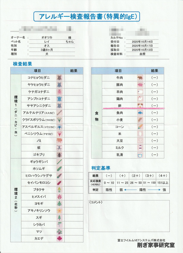 アレルギー検査6