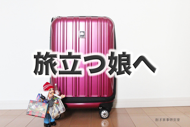機内持ち込み10