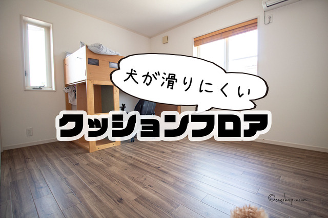 犬-滑らない床7