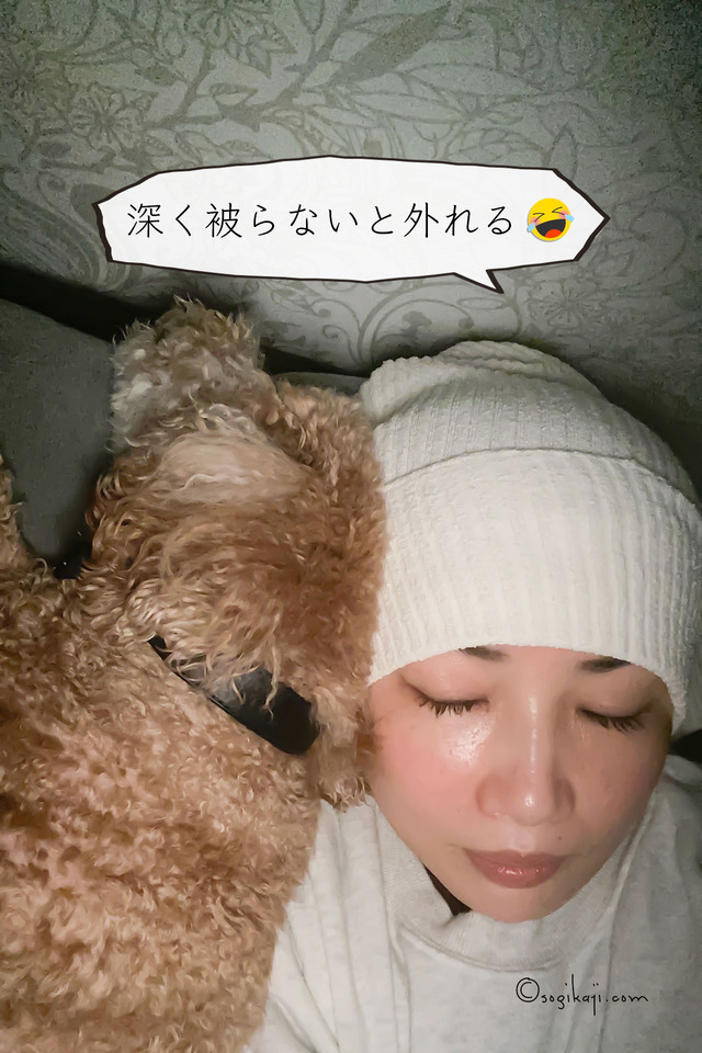 シルクナイトキャップ2