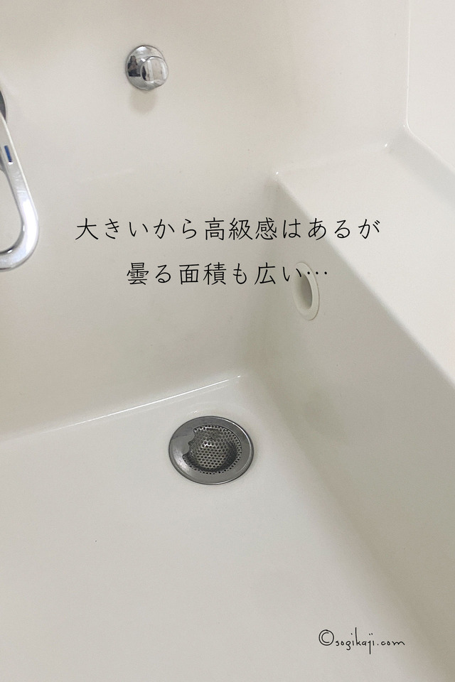 排水口 ゴミ受け2