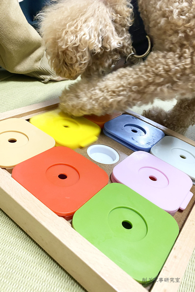 犬 おもちゃ4