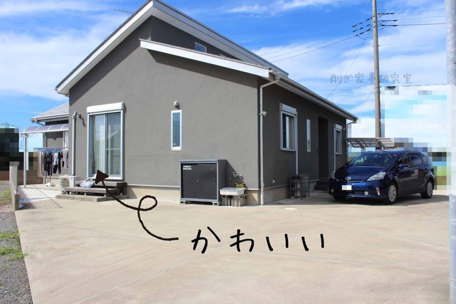 庭 コンクリ 掃除がラク (5)