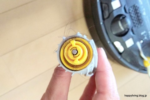 ルンバ 880 ローラー ゴミ (1)