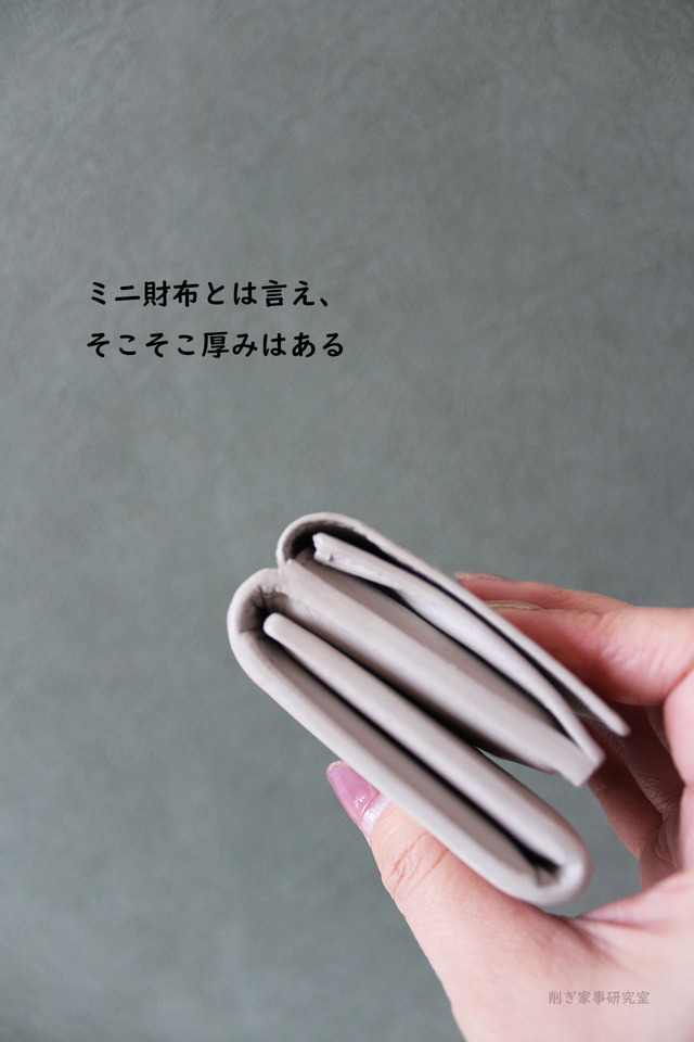 ミニ財布 デメリット スマホケース キャッシュレス (1)