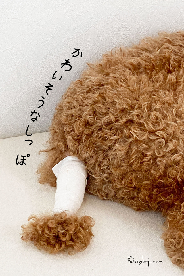 ドッグカート1
