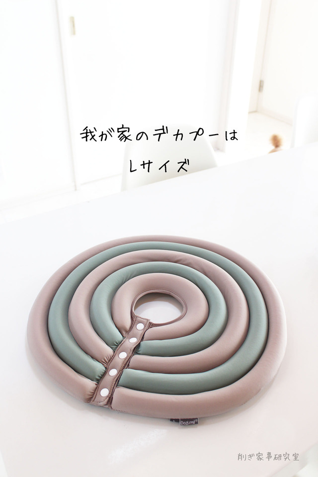 エリザベスカラー3