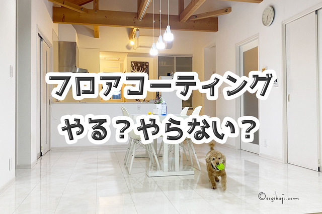 犬-滑らない-コーティング1