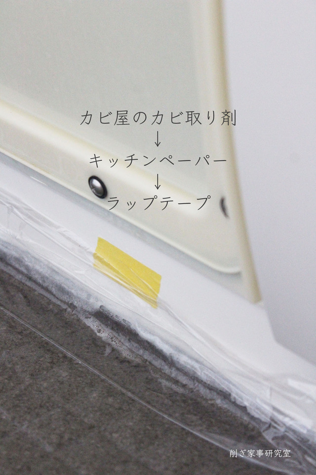 カビ取り剤12