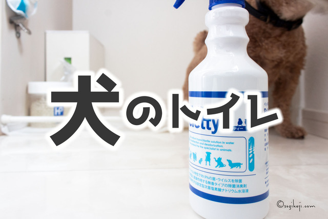 犬のトイレ1