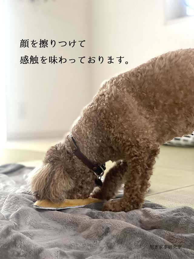 床暖 足 温め インソール 家づくり (6)