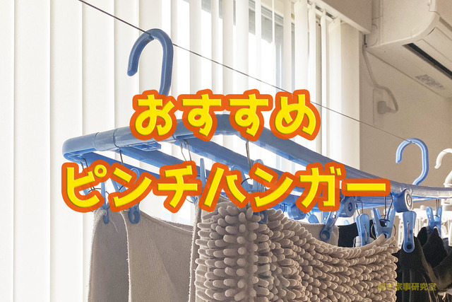 ピンチハンガー1