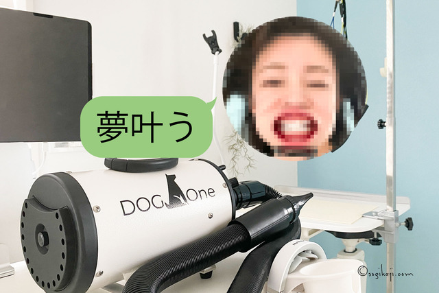 ペットドライヤー7