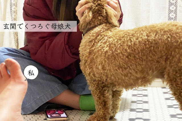 クッションフロア13