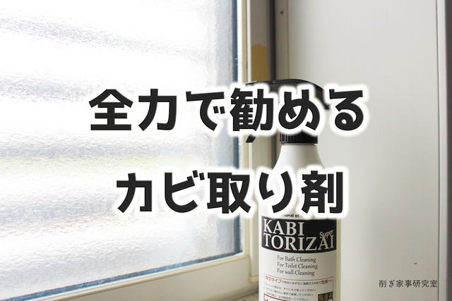 カビ取り剤2