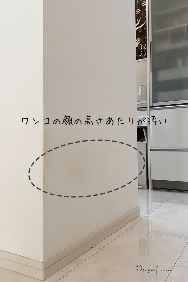 スチームファースト3