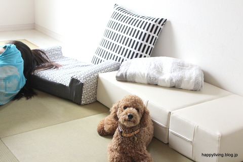 犬ベッド カバー artek 手作り モノトーン (1)