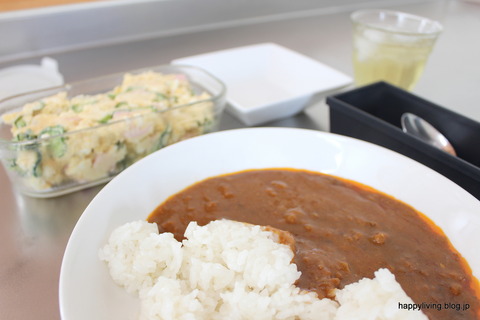 ものぐさな暮らし 無印良品 キーマカレー (1)