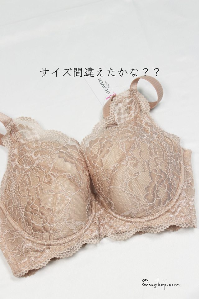 どんとこいブラ3