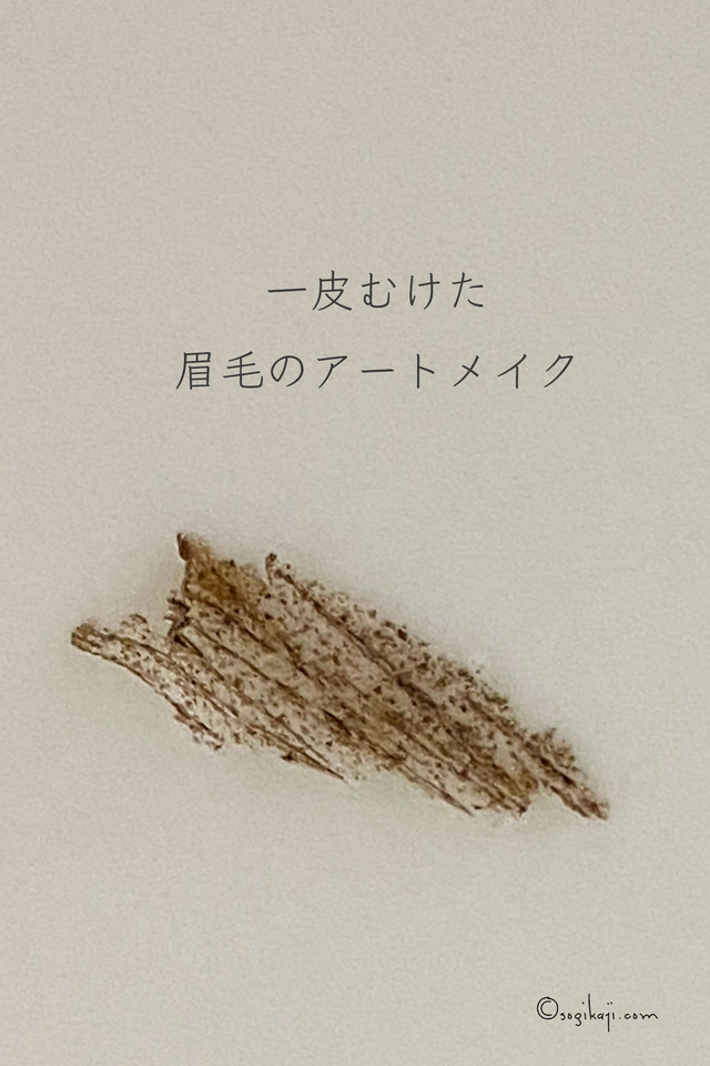 眉-アートメイク3