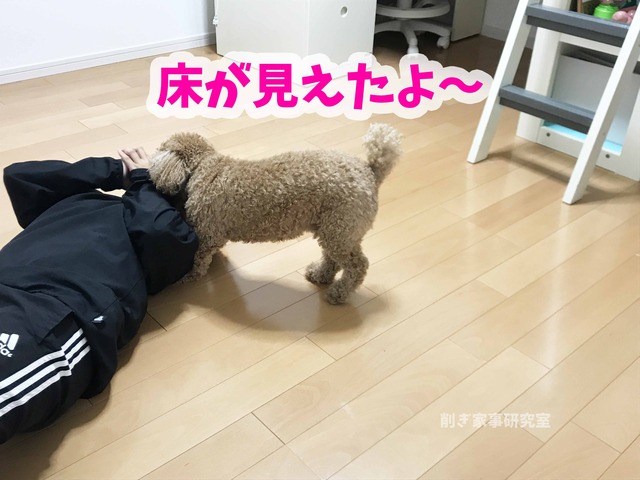 子供部屋 女の子 クローゼット 片付け 収納 (5)