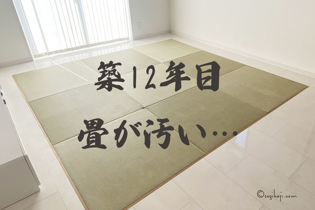ダイケン-和紙畳1