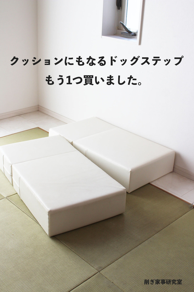 ドッグステップ7