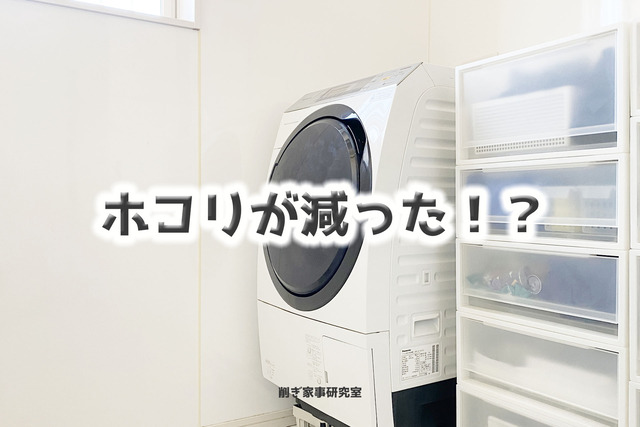 ドラム式 ホコリ1