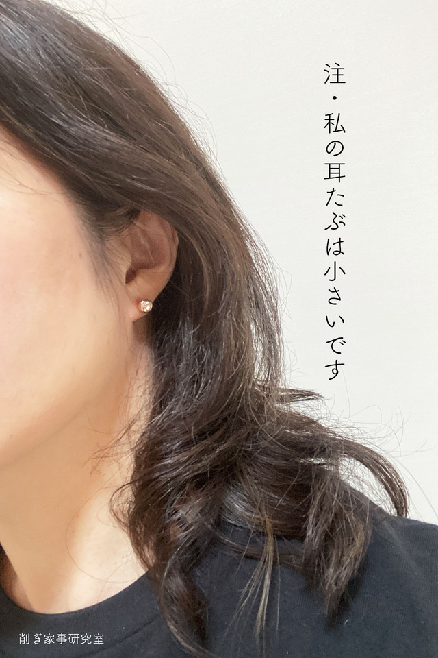 Arc.ピアス3