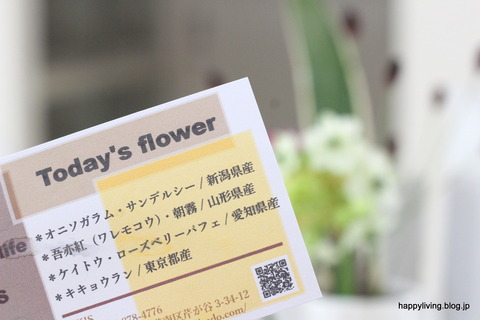 Bloomee Life 1週目 (1)