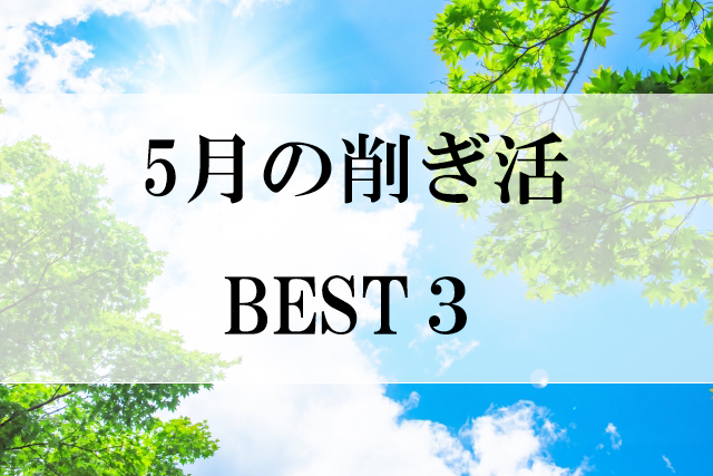 削ぎ活5月