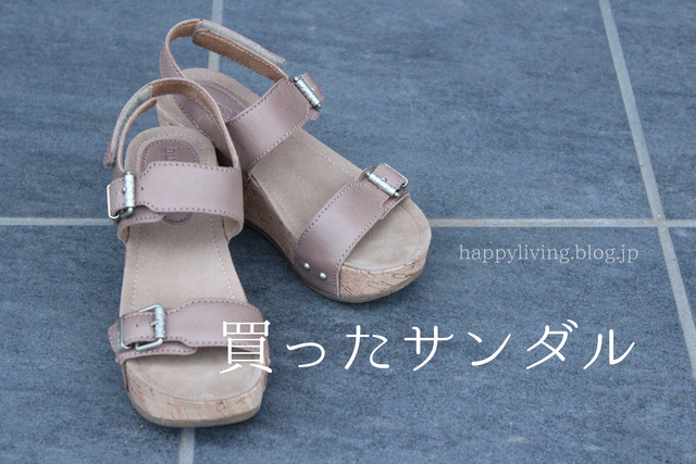 靴 箱 収納 bussola ブソラ サンダル 片付け (4)