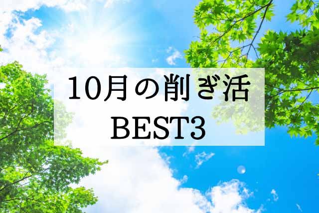 削ぎ活10