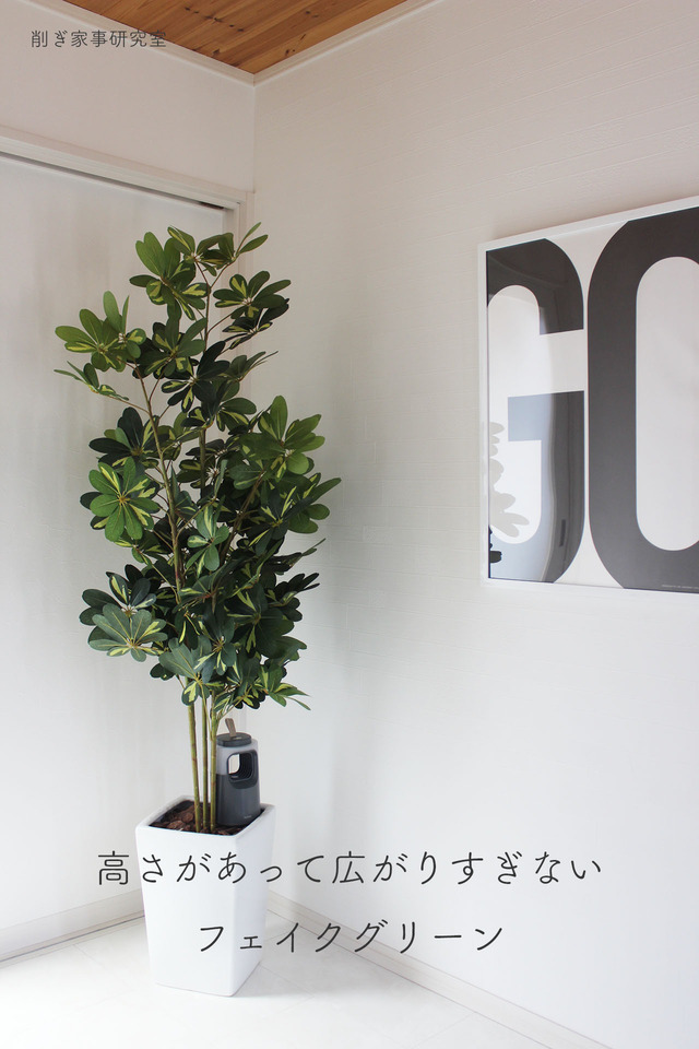 家づくり 玄関4