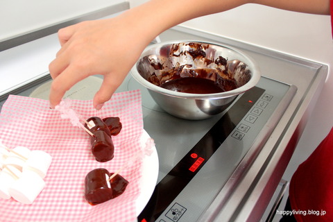 チョコレート 湯煎 保温 簡単 (6)