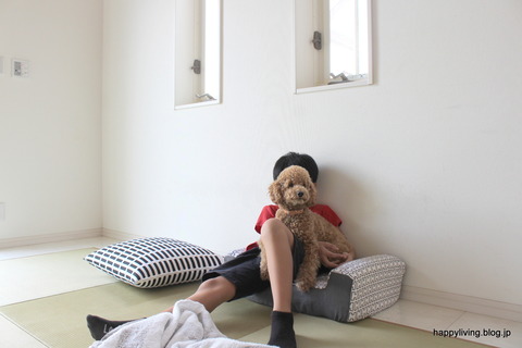 腰壁 DIY (2)