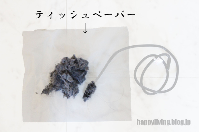 洗濯機 排水 ドラム式 ゴミ 掃除 乾燥 (5)