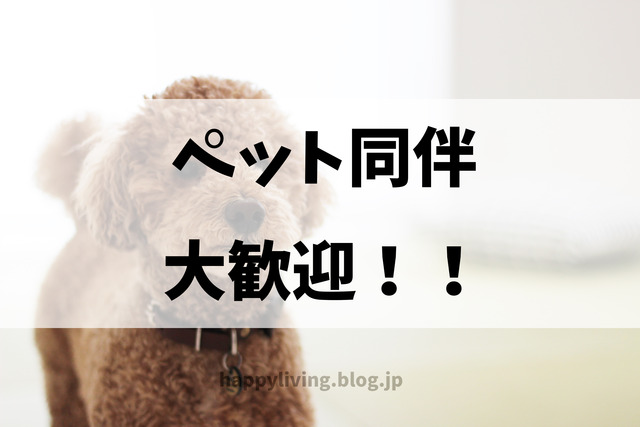 わんにゃんマーケット ペット 犬猫 イベント わかさ生活 京都
