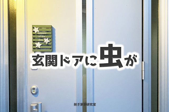 虫除け1